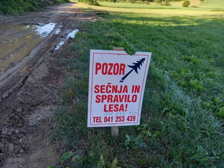 Golosek ob trim stezi, foto JK (3)